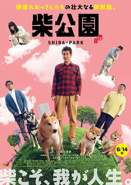 坏男孩导航开心导航